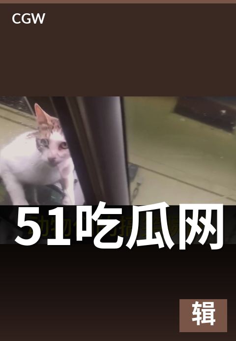 51吃瓜网 - 品牌起源、内容定位与平台架构完整解读 · 本期重点