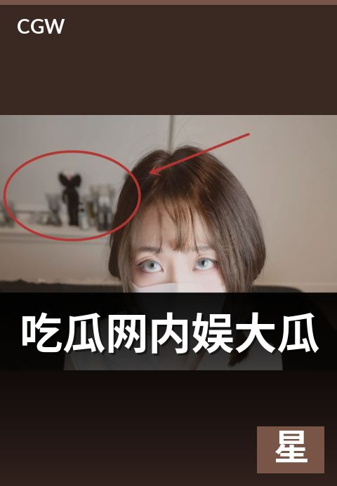 吃瓜网内娱大瓜 - 内地娱乐圈的事件类型与文化语境