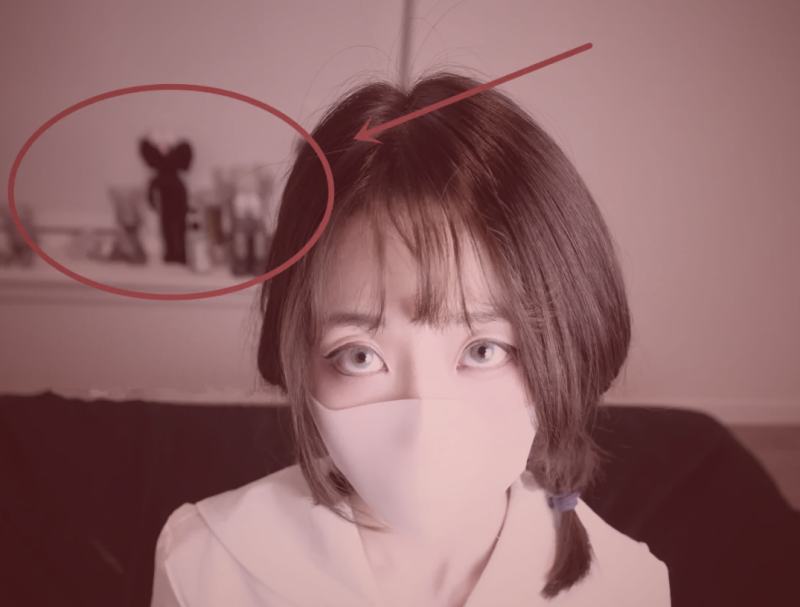 网络上流传的讽刺吃瓜网洗白行动的漫画图片